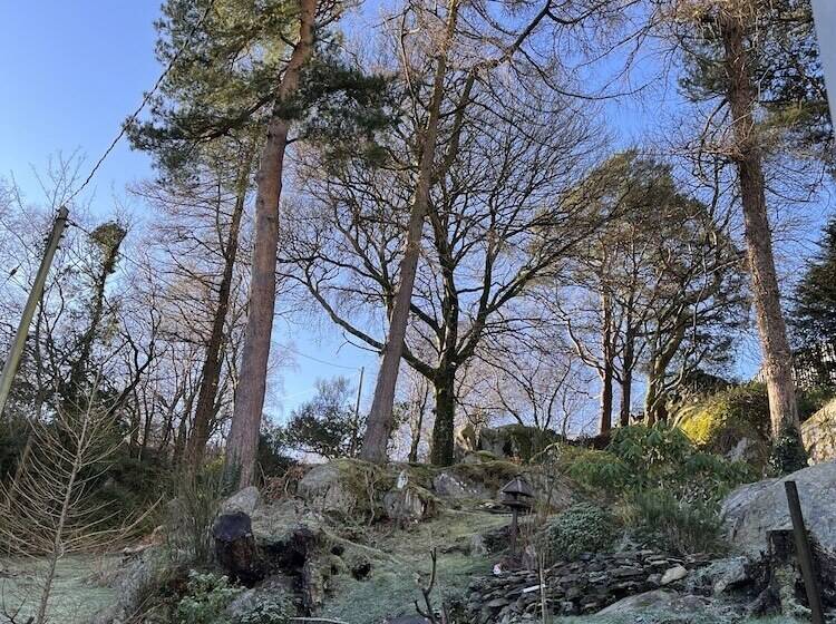 Отель The Lake View