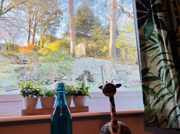 Отель The Lake View