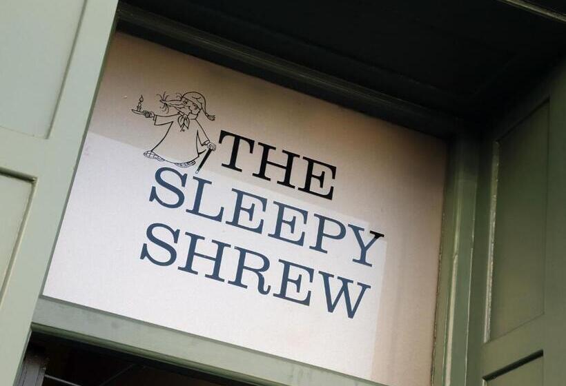 בית מלון כפרי The Loopy Shrew