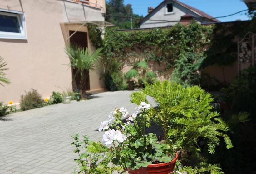 هتل вива мария