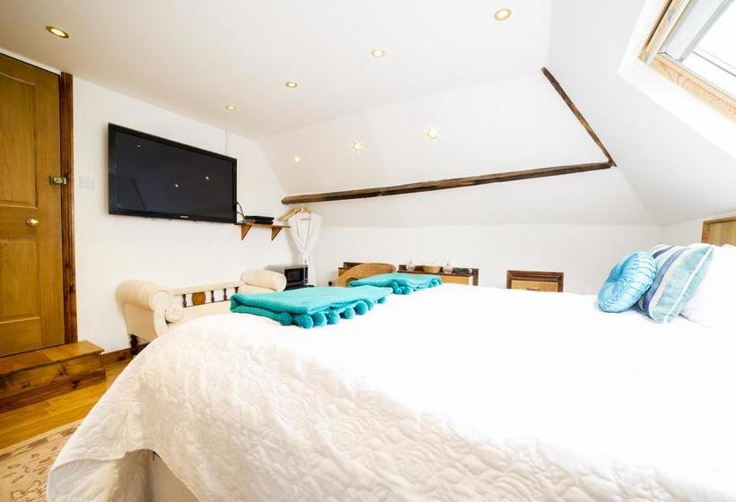 Molland Manor House Bed & Breakfast