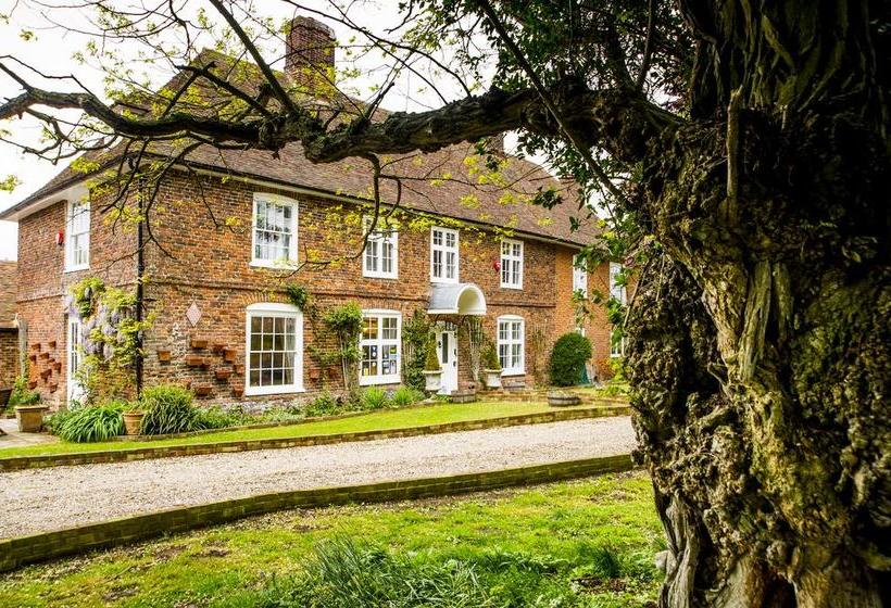 Molland Manor House Bed & Breakfast