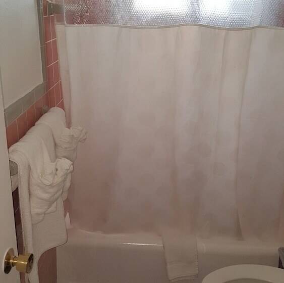 汽车旅馆  The Palms On Ocean