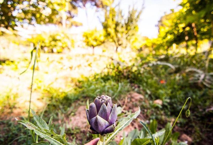 פנסיון Ostello Villa Monte Mario