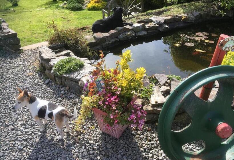 Stoke House Bed And Breakfast