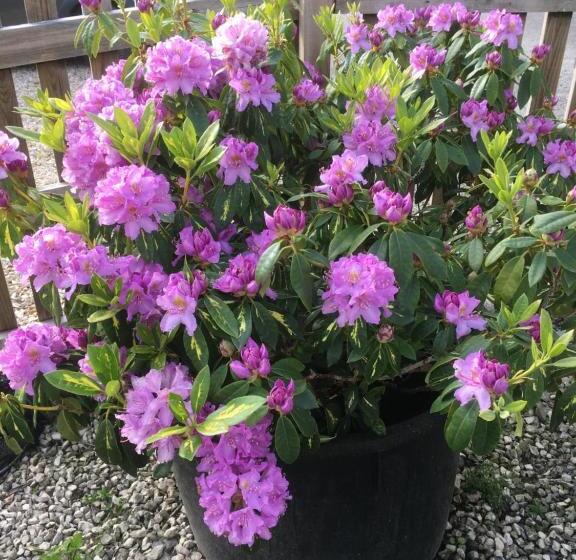 Stoke House Bed And Breakfast