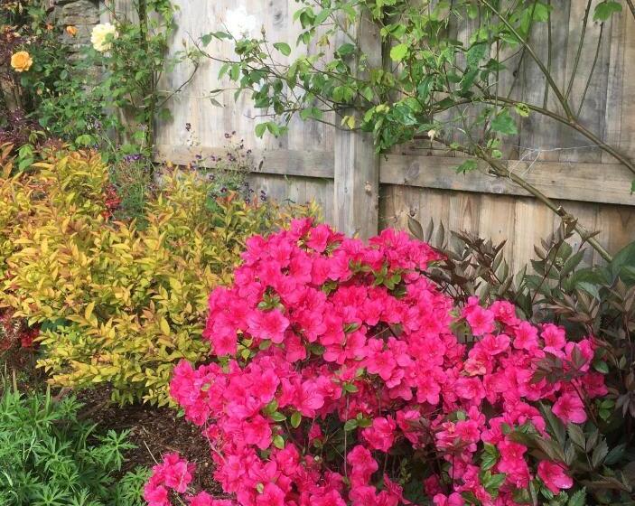 Stoke House Bed And Breakfast