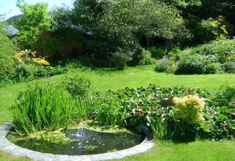 The Forest Country House B&b