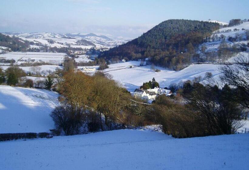 The Forest Country House B&b