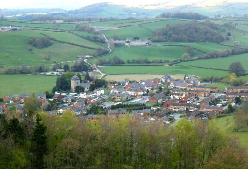 The Forest Country House B&b