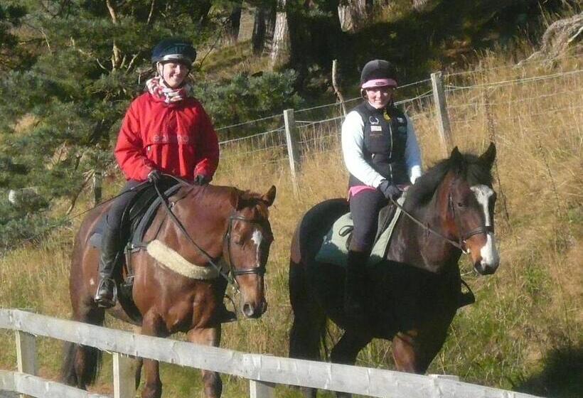 Tigh An Each B&b & Laggan Glamping