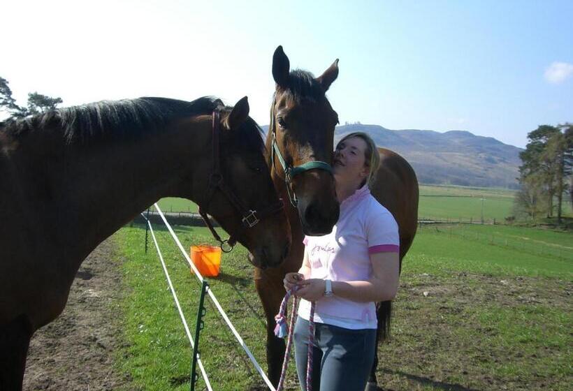 Tigh An Each B&b & Laggan Glamping