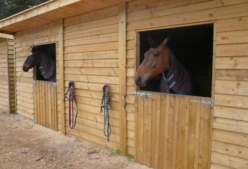 Tigh An Each B&b & Laggan Glamping