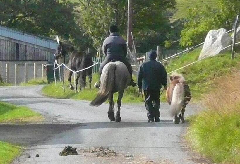 Tigh An Each B&b & Laggan Glamping