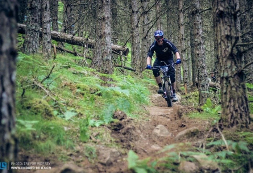 Tigh An Each B&b & Laggan Glamping