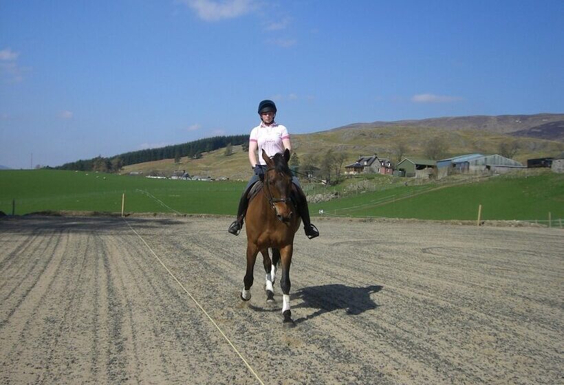 Tigh An Each B&b & Laggan Glamping