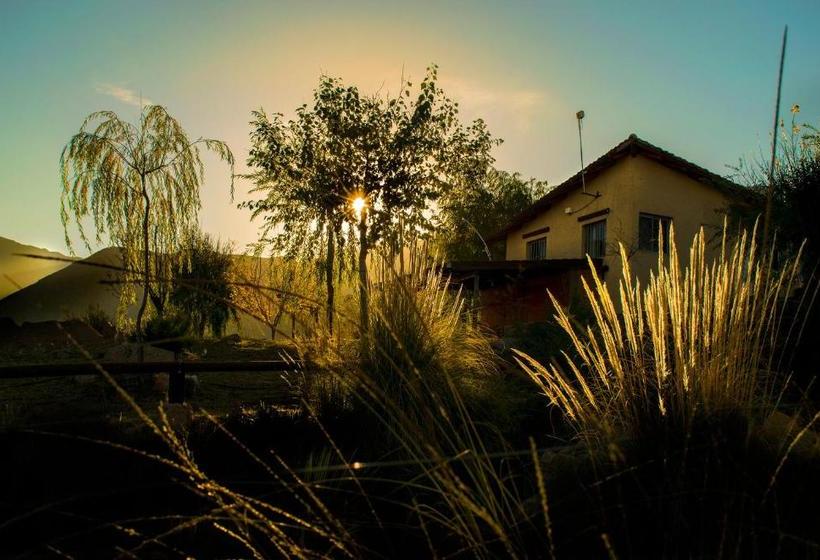 Hostel Aguilas De Piedra