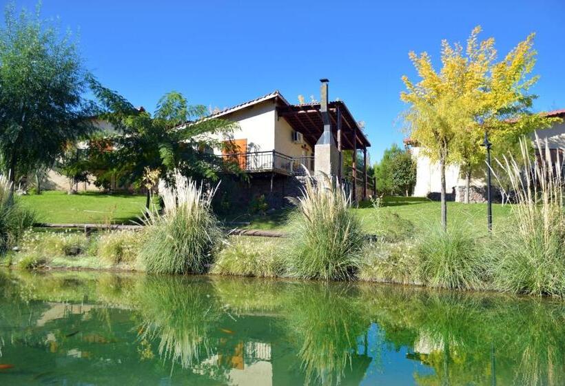 Hostel Aguilas De Piedra