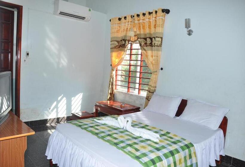 هاستل Cat An Guesthouse