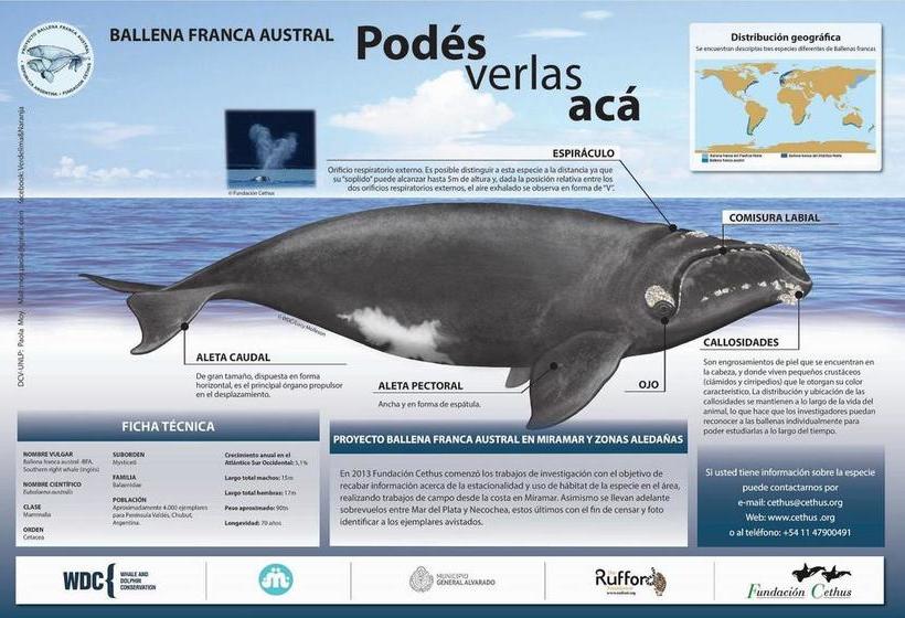 ユースホステル Desert Tracks Rancho