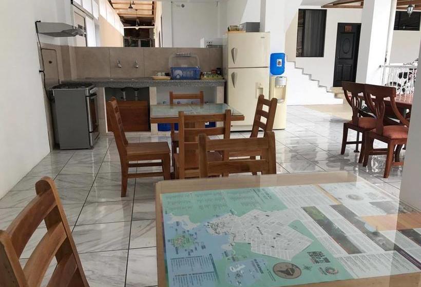 هاستل Hostal La Mirada Del Solitario George