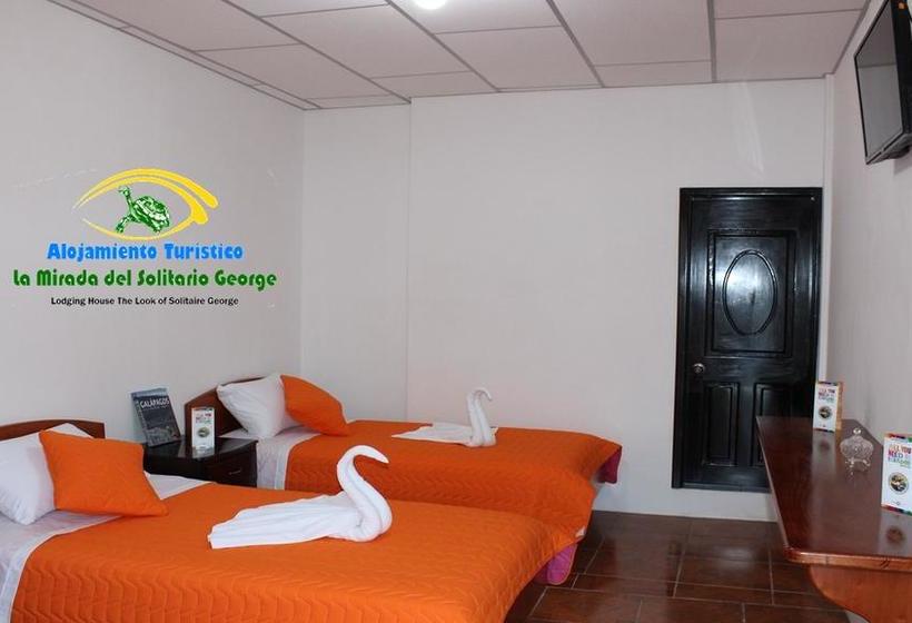 هاستل Hostal La Mirada Del Solitario George