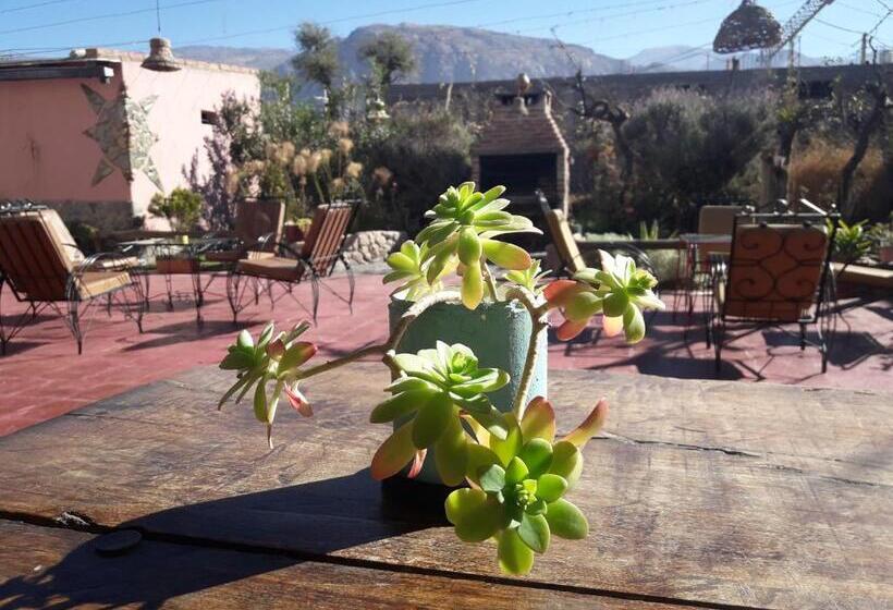 ユースホステル Hostal Rustyk