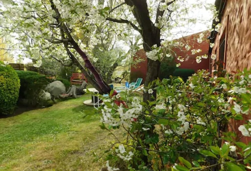 فندق صغير Hostal Schilling