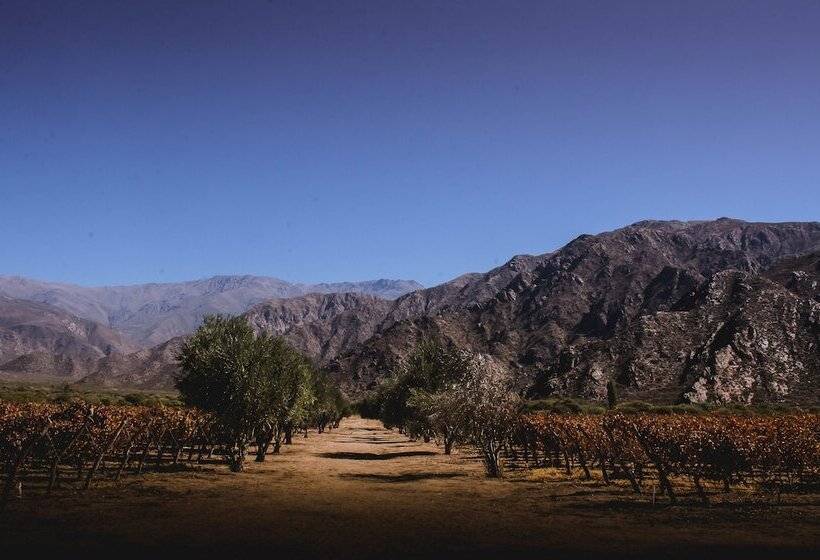 Altalaluna Hotel Boutique & Spa