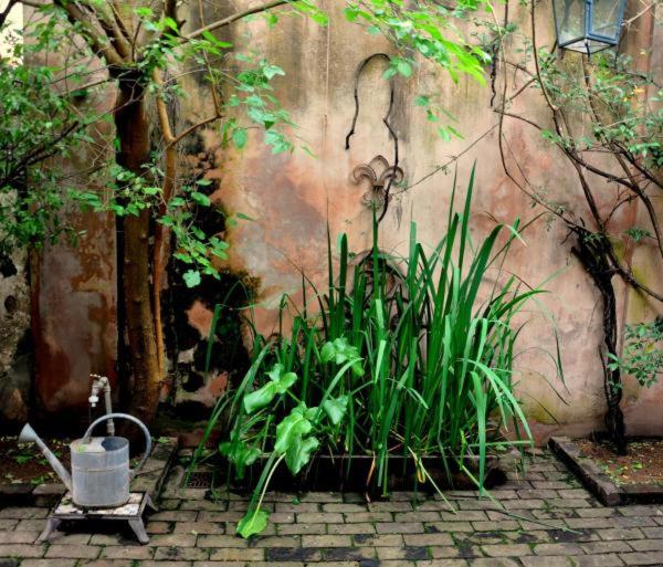 Antigua Casona Bed & Breakfast