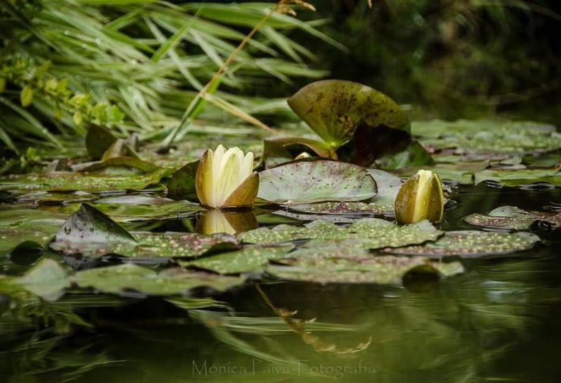 تختخواب و صبحانه Arroyo Escondido