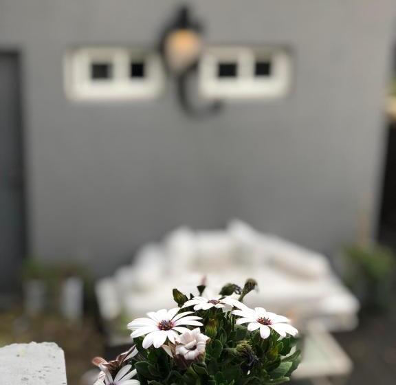 Cool Clima B&b