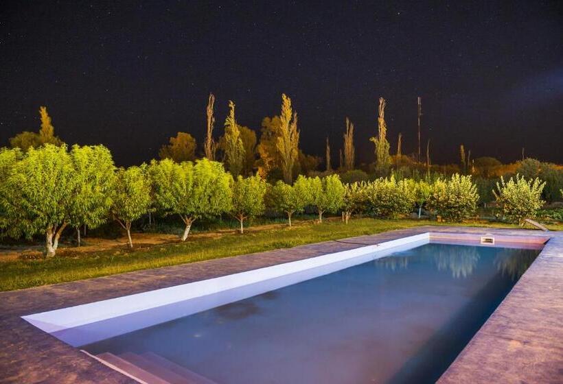 تختخواب و صبحانه Don Remo