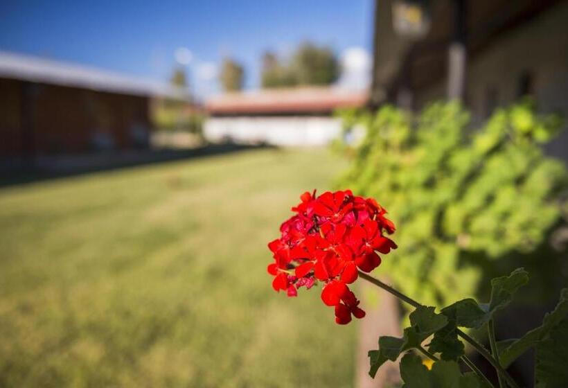 تختخواب و صبحانه Don Remo