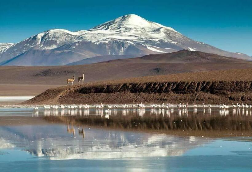 تختخواب و صبحانه Don Remo