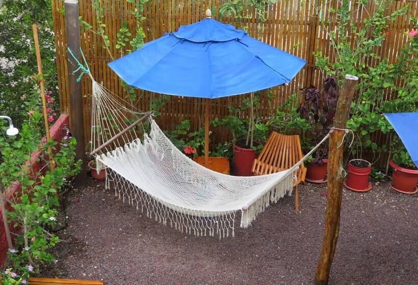 مبيت وإفطار Drake Inn