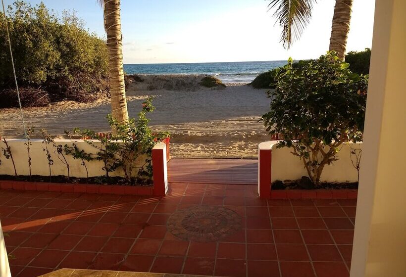 تختخواب و صبحانه Drake Inn