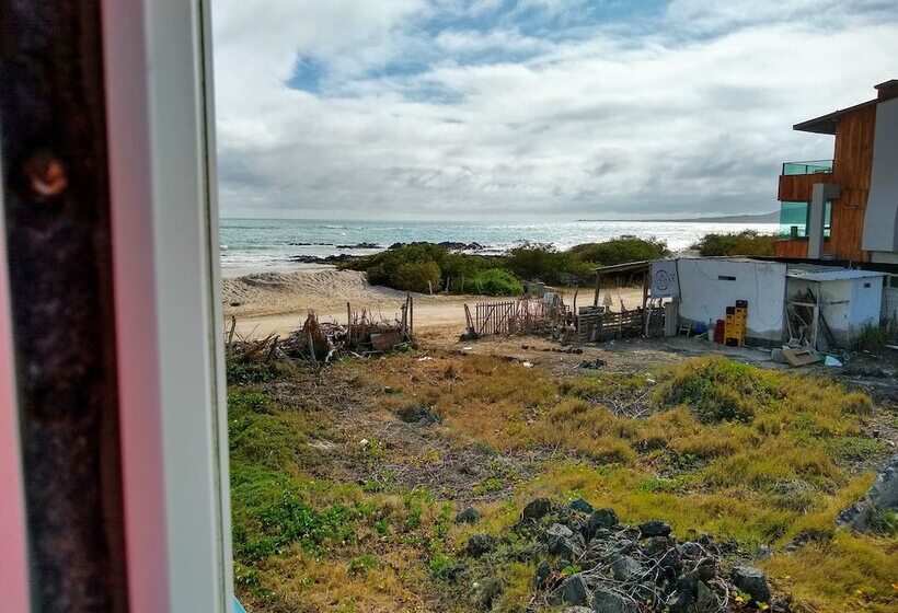 تختخواب و صبحانه Drake Inn