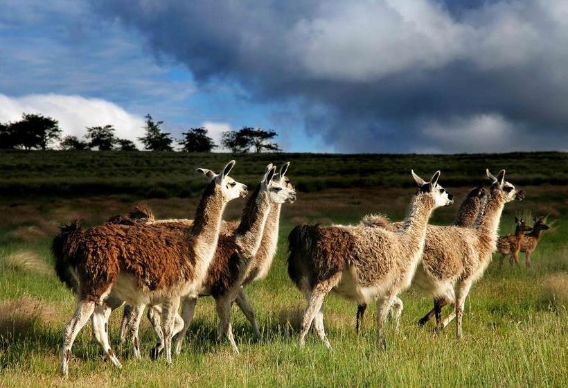 مبيت وإفطار Estancia La Estrella