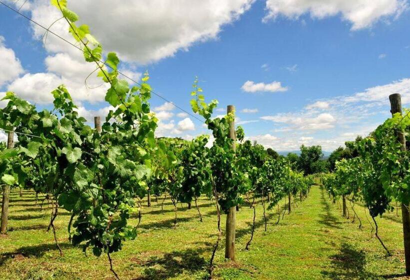 צימר Finca Cielo Verde