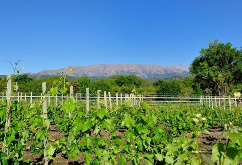 צימר Finca Cielo Verde