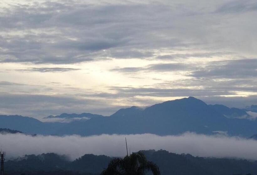 住宿加早餐  Hostal Limoncocha