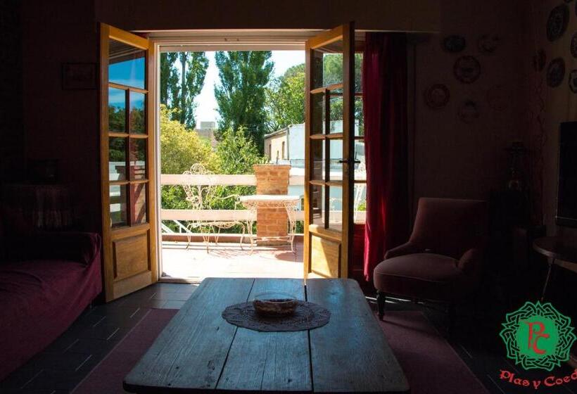 Bed & Breakfast Hostería Plas Y Coed Gwesty