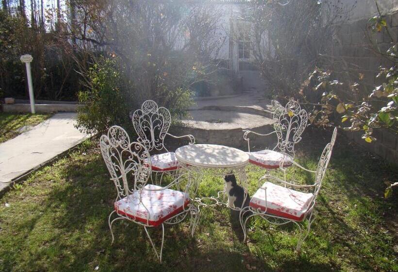 Bed & Breakfast Hostería Plas Y Coed Gwesty