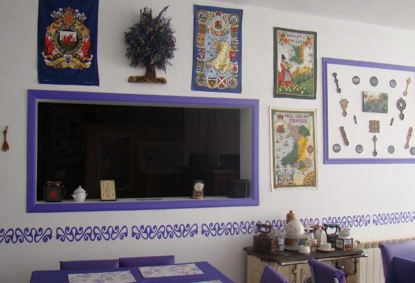 Bed & Breakfast Hostería Plas Y Coed Gwesty