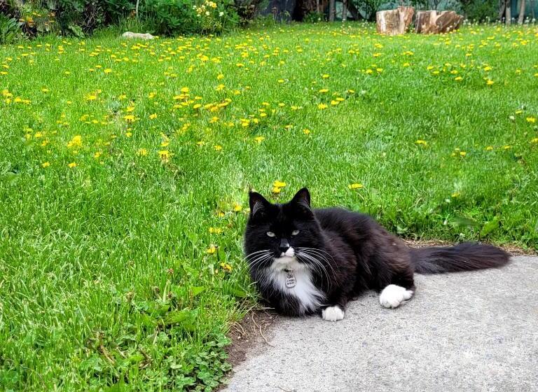 مبيت وإفطار Lago Argentino Hostel