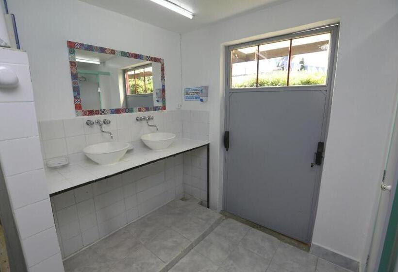 مبيت وإفطار Lago Argentino Hostel