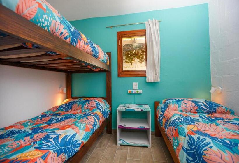 مبيت وإفطار Lago Argentino Hostel