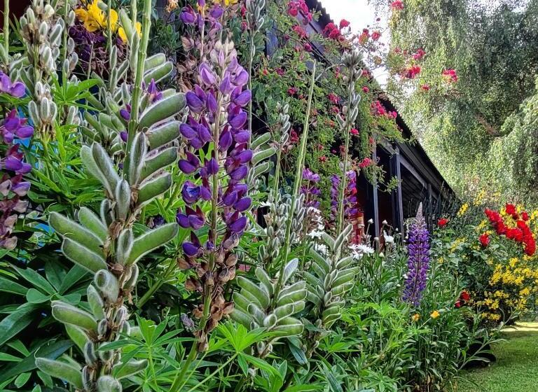 مبيت وإفطار Lago Argentino Hostel