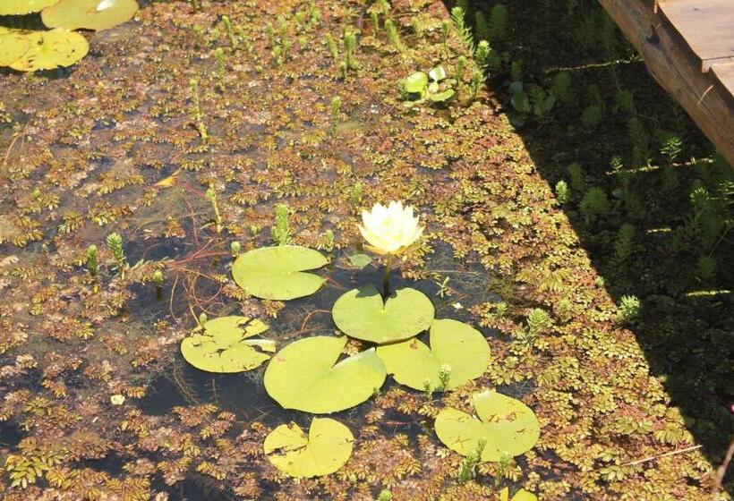 مبيت وإفطار Refugio Del Guira Guira